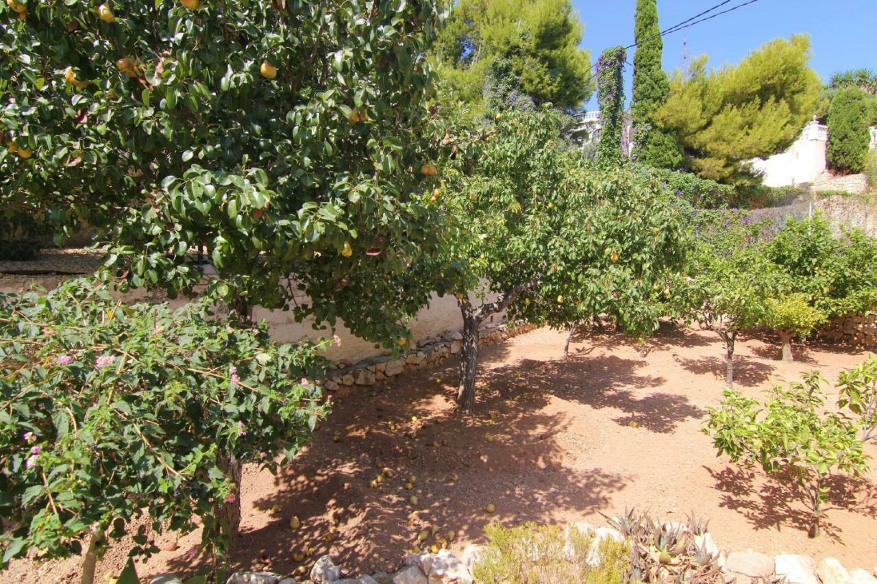 Villavenus Calpe Exteriér fotografie